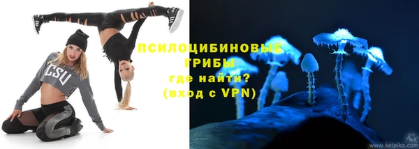 спайс Аркадак